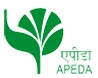 APEDA certification logo
