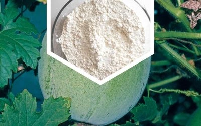 AshGourd Powder - fine beige powder in a glass jar